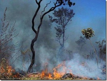 sebastiao_incendio